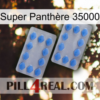 Super Panthère 35000 20